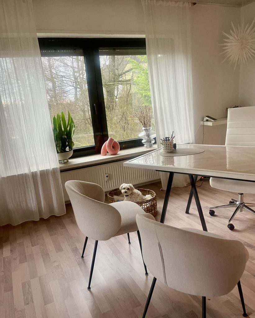 Ein Bild von einem Schreibtisch und Stühlen. Frieda sitzt in ihrem Körbchen neben dem Schreibtisch; Ausschnitt aus dem 1. Behandlungszimmer